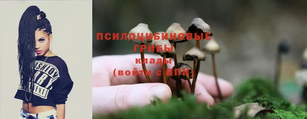 ПСИЛОЦИБИНОВЫЕ ГРИБЫ Армянск