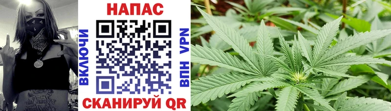 купить наркоту Павлово Канабис конопля